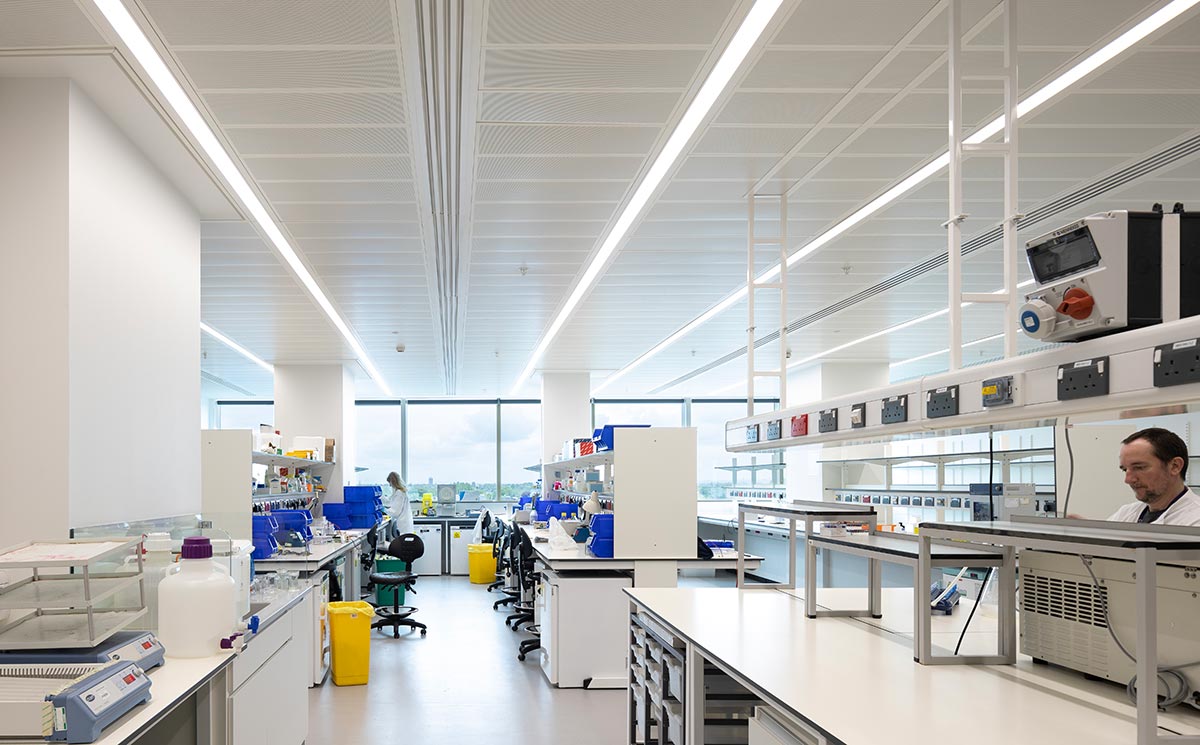 The Paterson Building